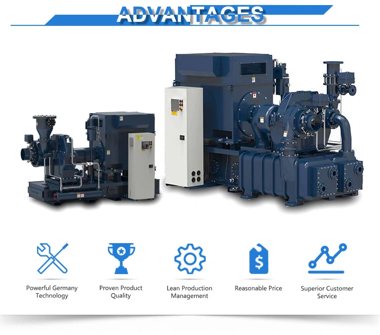 Liquefied Petroleum Gas Compressor Biogas Compressor Gas Booster Compressor