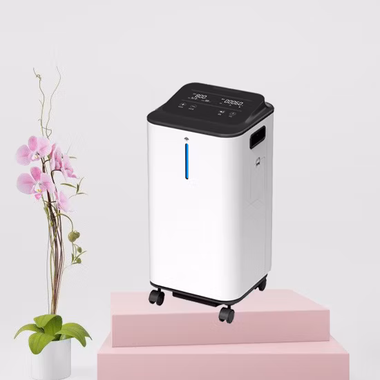 Concentrateur d'oxygène nébuliseur ultra faible bruit 5L avec moniteur de débit et de pureté réglable